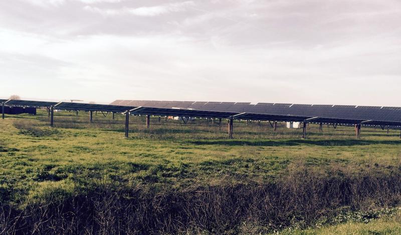 Davis, CA Solar Farm
